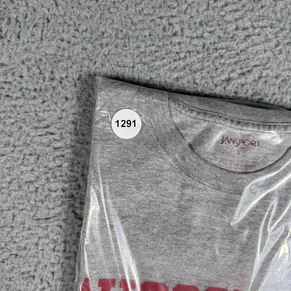 University of Wisconsin Engineering T-Shirt Size Large Badgers Collegiate Gray